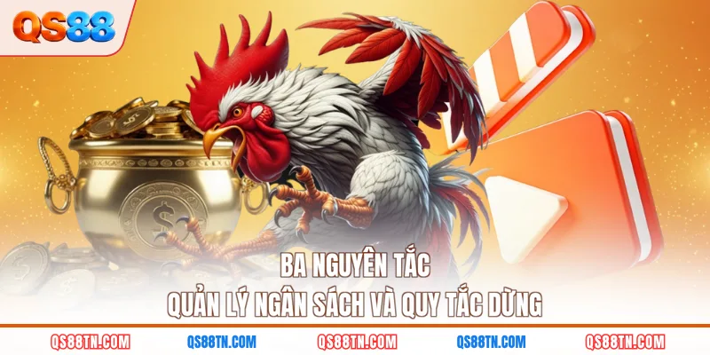 Ba nguyên tắc quản lý ngân sách và quy tắc dừng