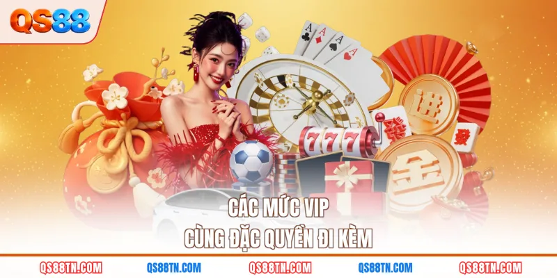 Các mức VIP cùng đặc quyền đi kèm