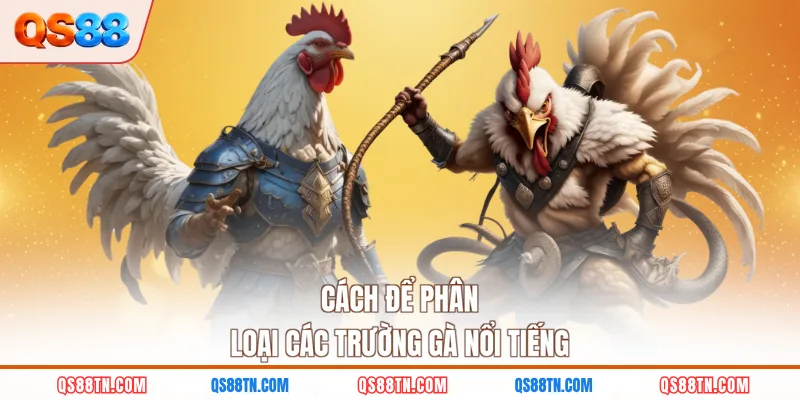 Cách để phân loại các trường gà nổi tiếng