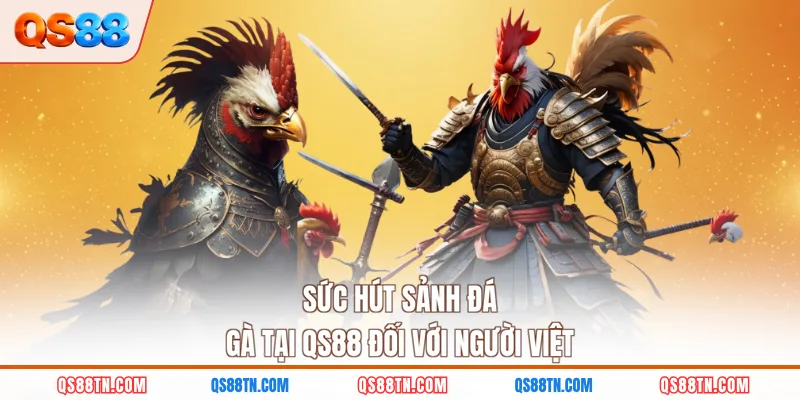 Sức hút sảnh đá gà tại QS88 đối với người Việt